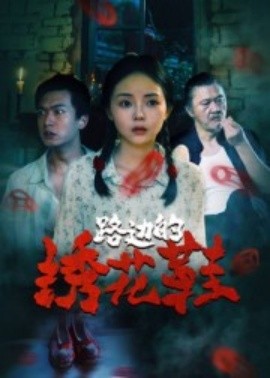 路边的绣花鞋海报剧照