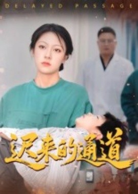 迟来的通道海报剧照