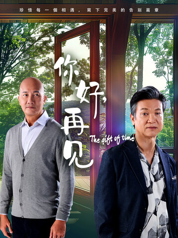 你好,再见2025海报