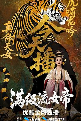 画江湖之侠岚海报
