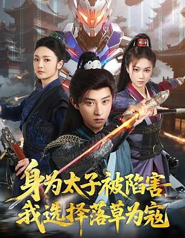 身为太子被陷害，我选择落草为寇海报
