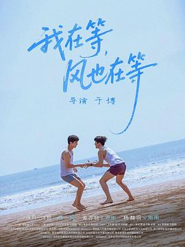 我在等,风也在等海报