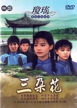 家庭经济学第一季海报
