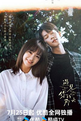 解救吾先生海报