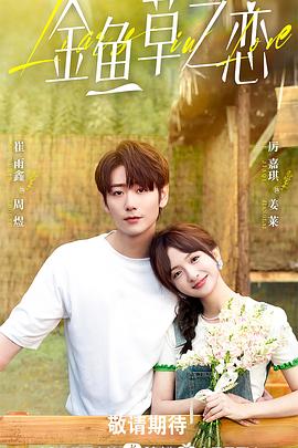 当雏菊邂逅少女海报