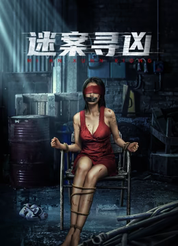 迷案寻凶海报