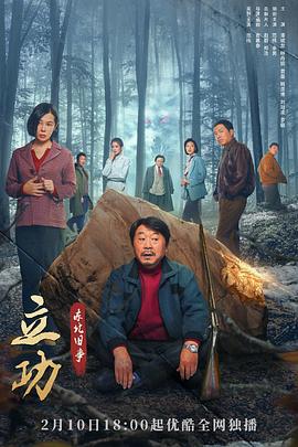 立功东北旧事海报