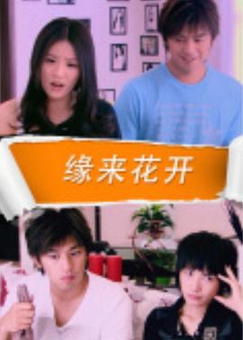 一不小心恋爱了海报