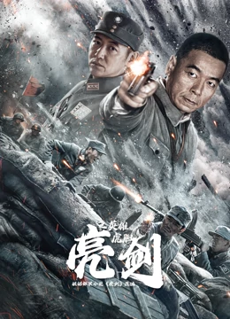 为了谁的炼金术师海报