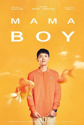 斯宾塞的机密任务海报