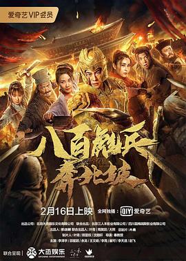 飞鹰计划海报