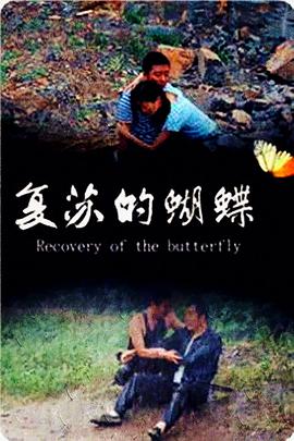 网络迷情海报