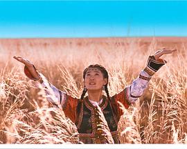 草原上的承诺海报