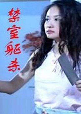 圣诞奇遇结良缘海报