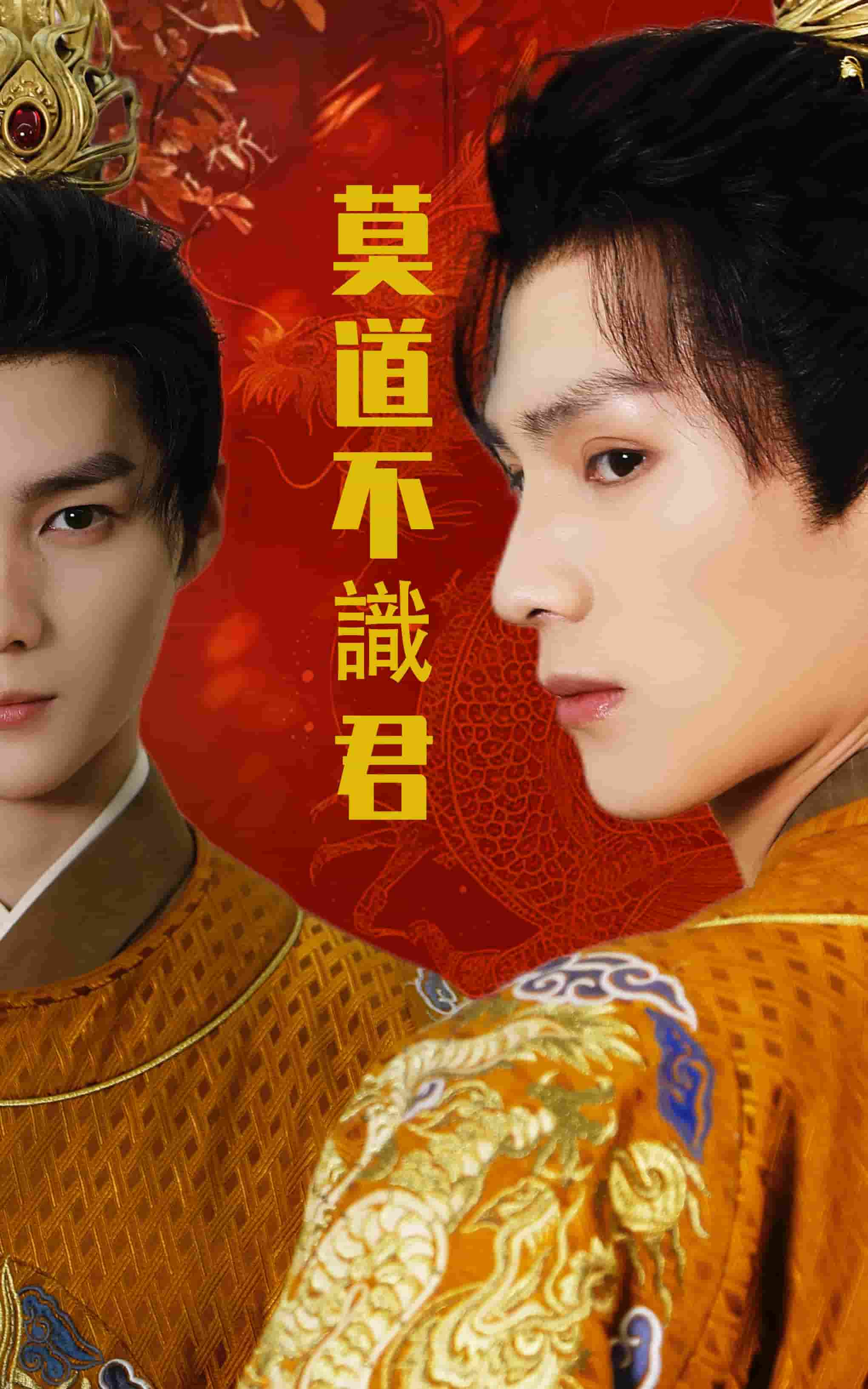 千金姐姐的复仇海报