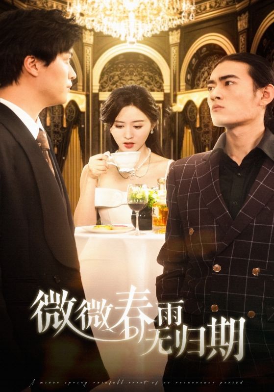 微微春雨无归期海报