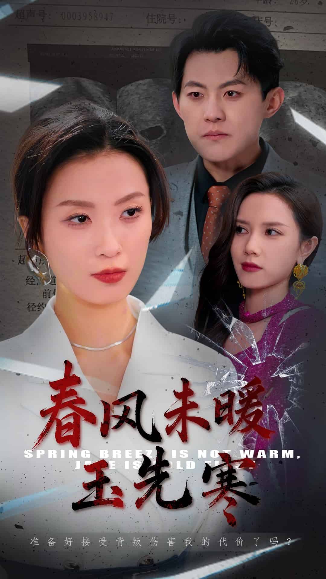 春风未暖玉先寒海报