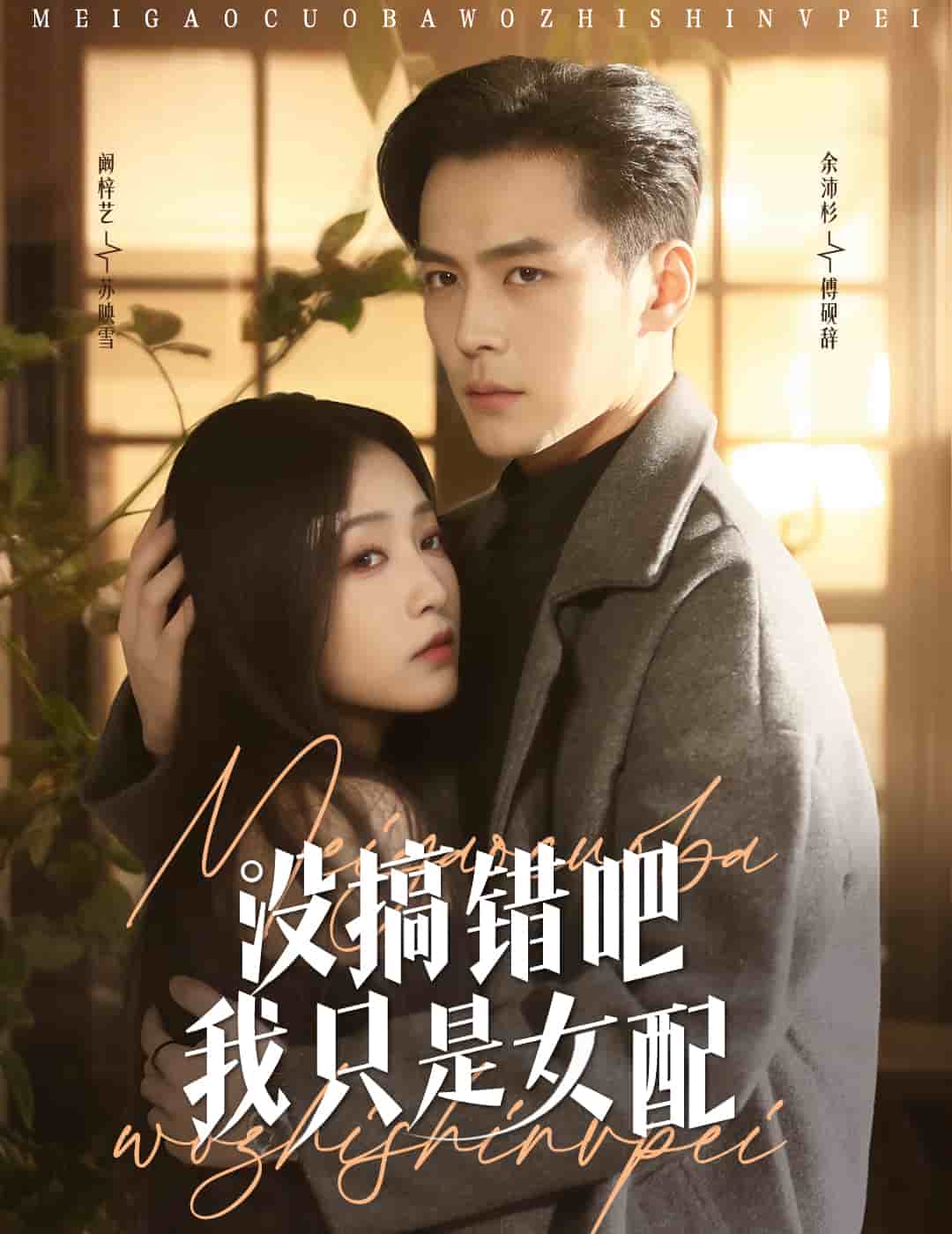 没搞错吧我只是女配海报