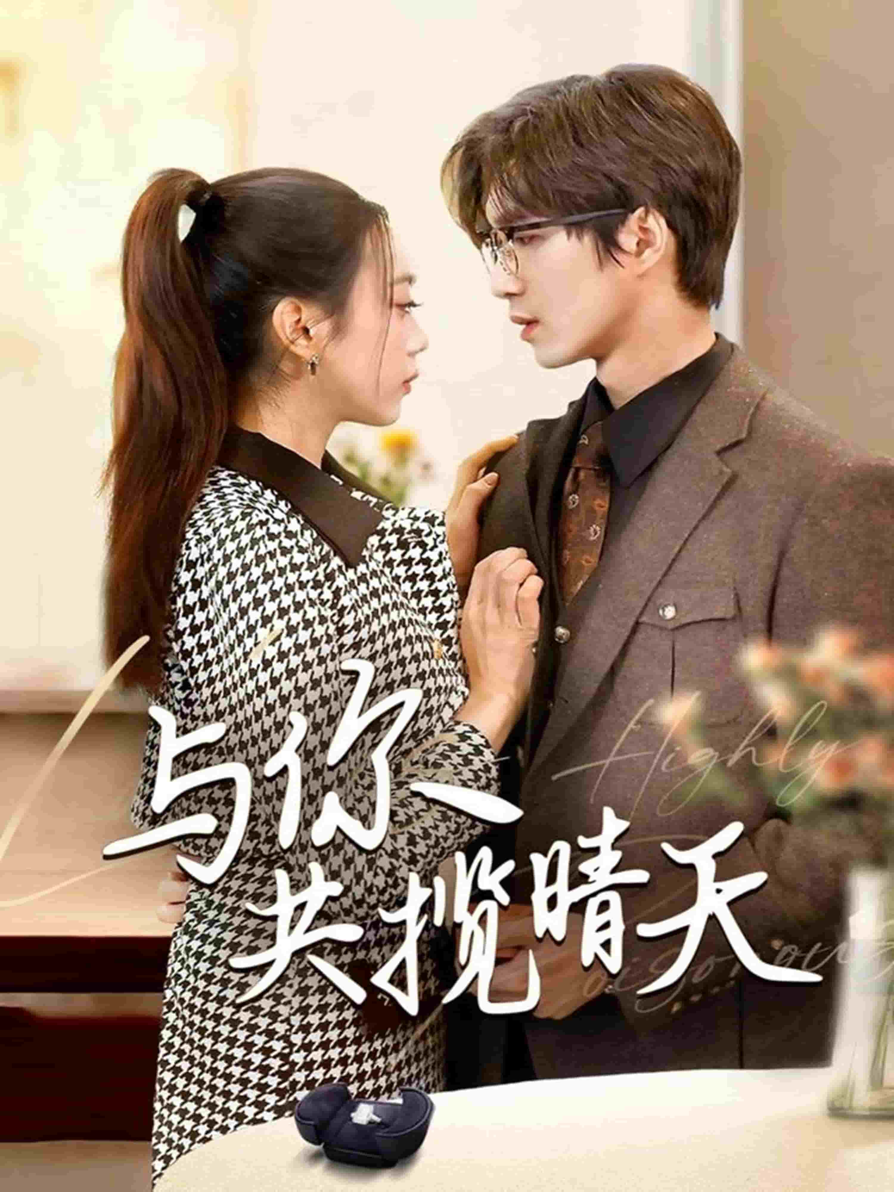 与你共揽晴天海报