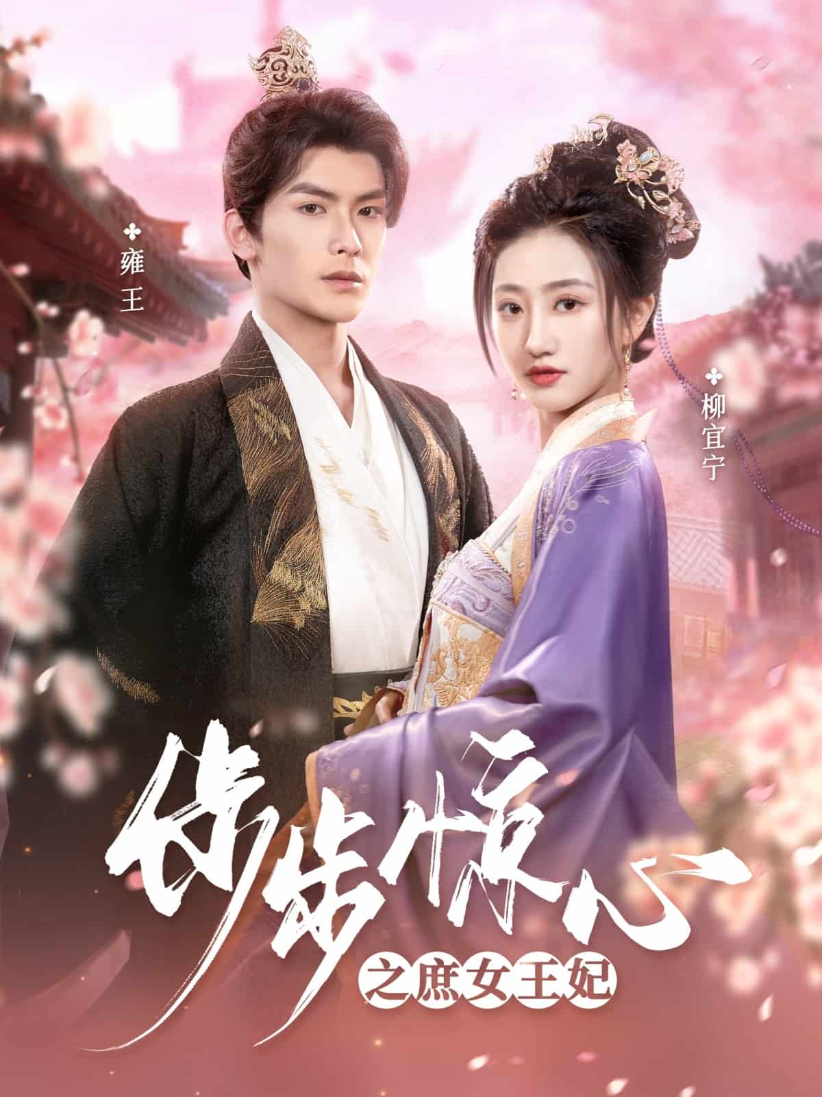 步步惊心之庶女王妃海报