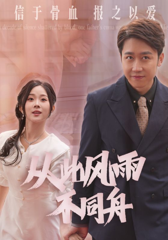 车手普通话版海报