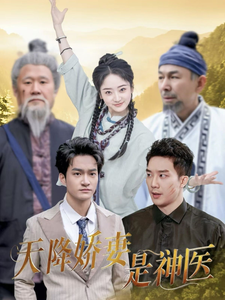 天降娇妻是神医海报