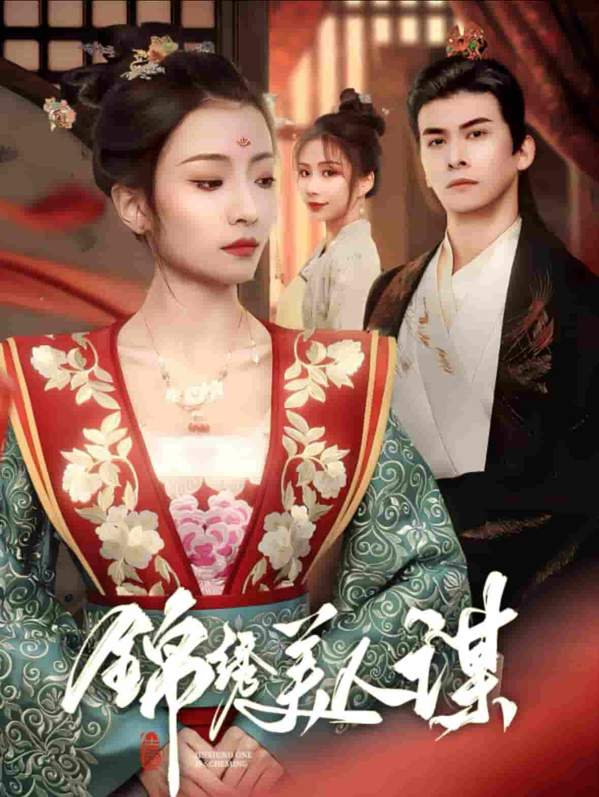 锦绣美人谋海报