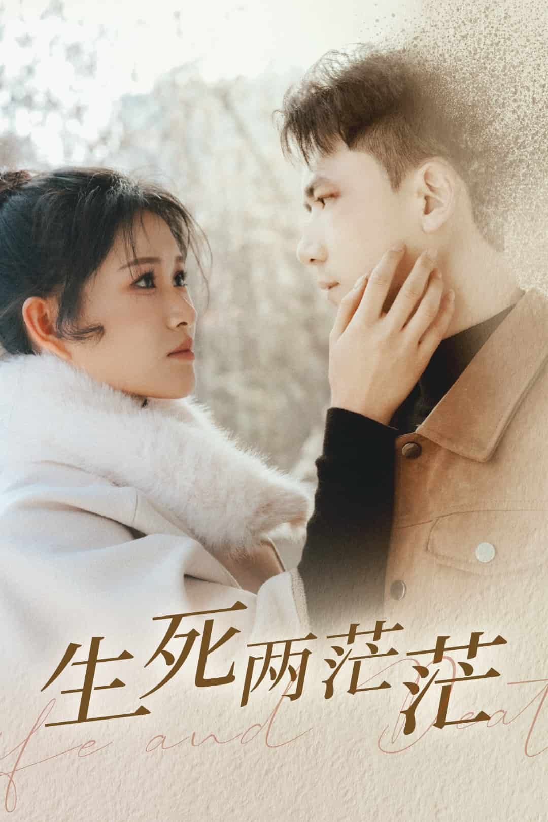 生死两茫茫海报