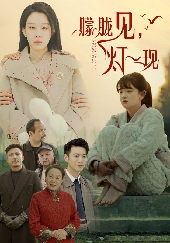 朦胧见灯一现海报