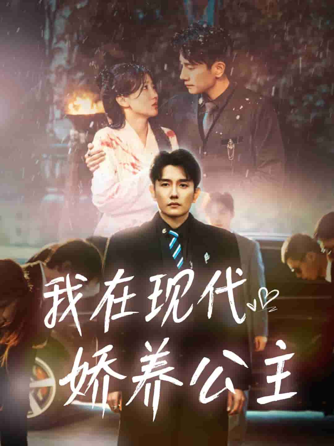 我在现代娇养公主剧照