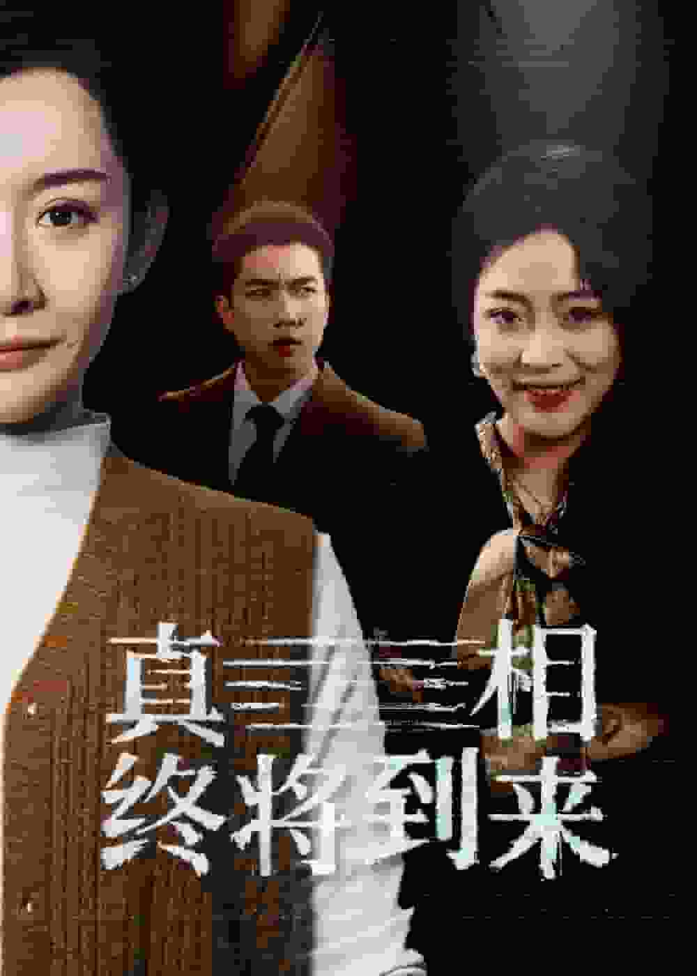 真相终将到来海报