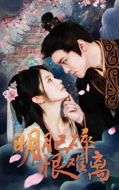 明月已碎恨难离海报