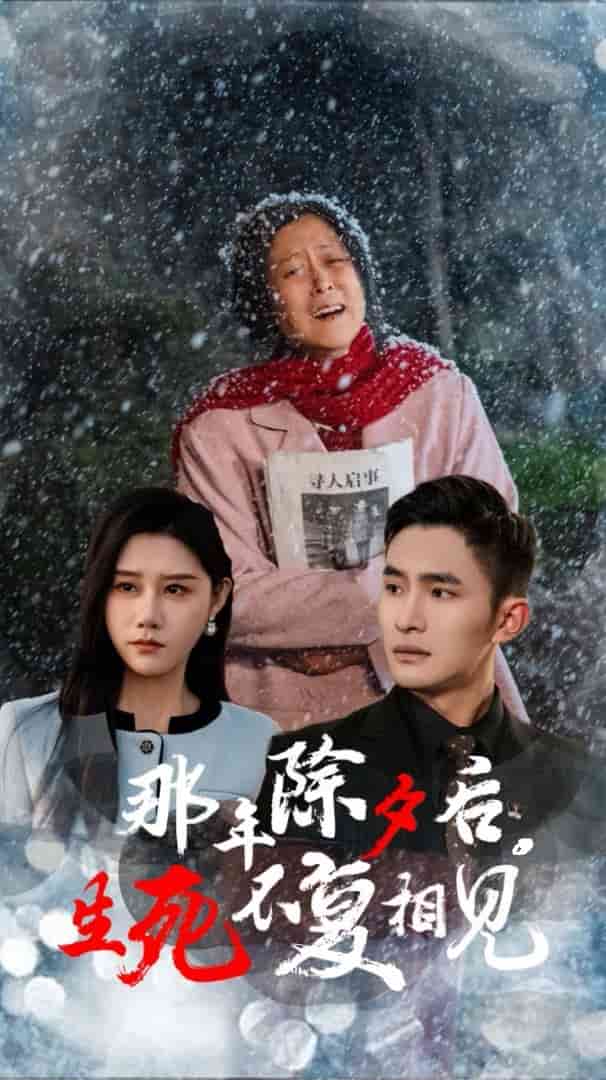 那年除夕后生死不复相见海报