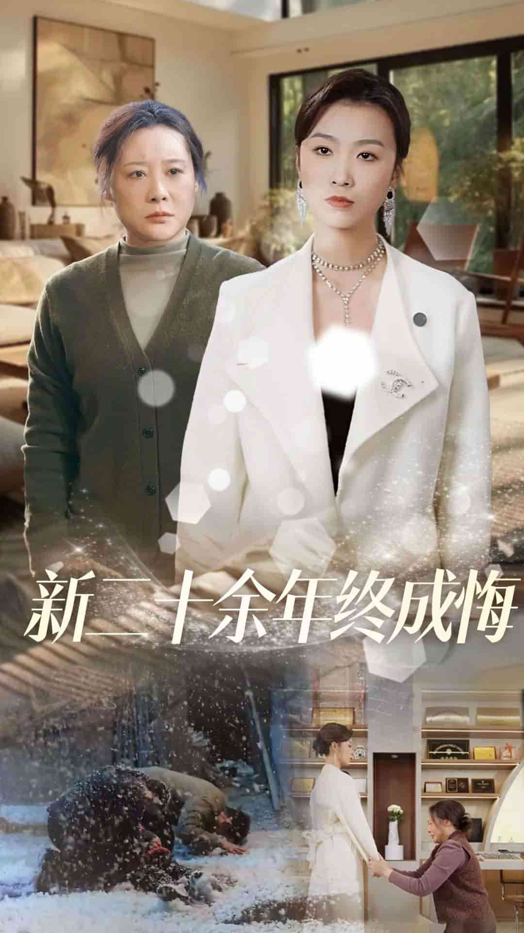 新二十余年终成悔海报