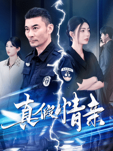 圣诞特攻队海报