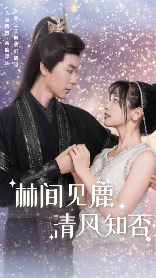 布兰奇区第一季海报