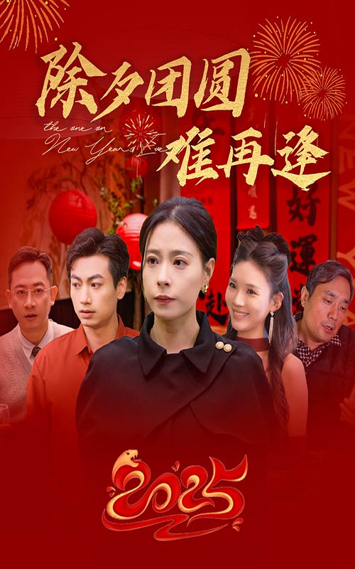除夕团圆难再逢海报