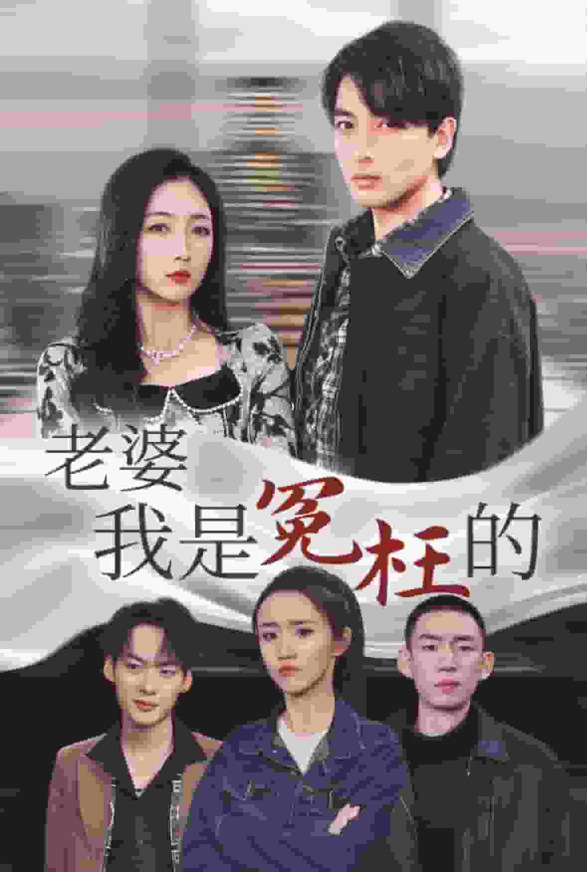 老婆我是冤枉的海报