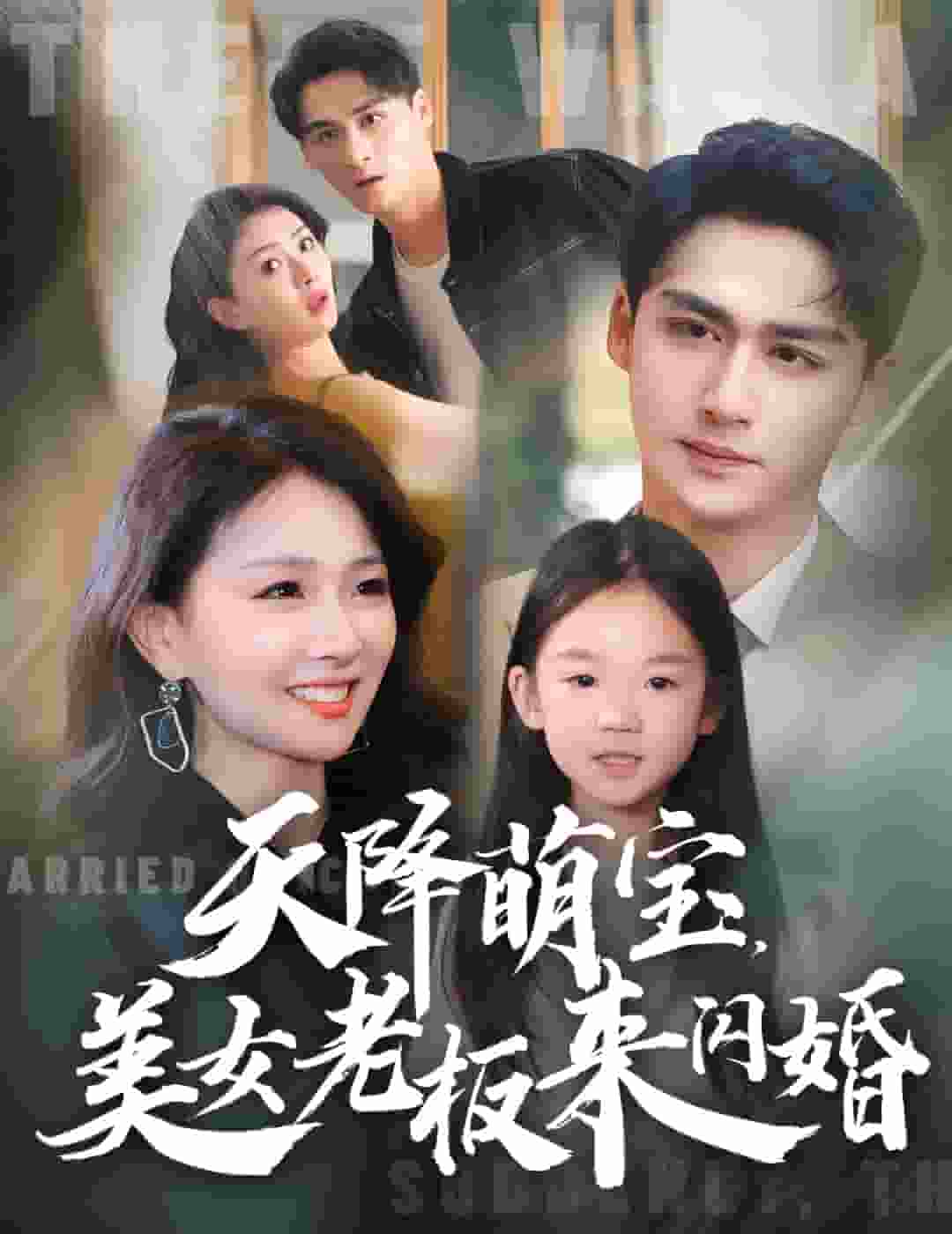 天降萌宝美女老板来闪婚海报