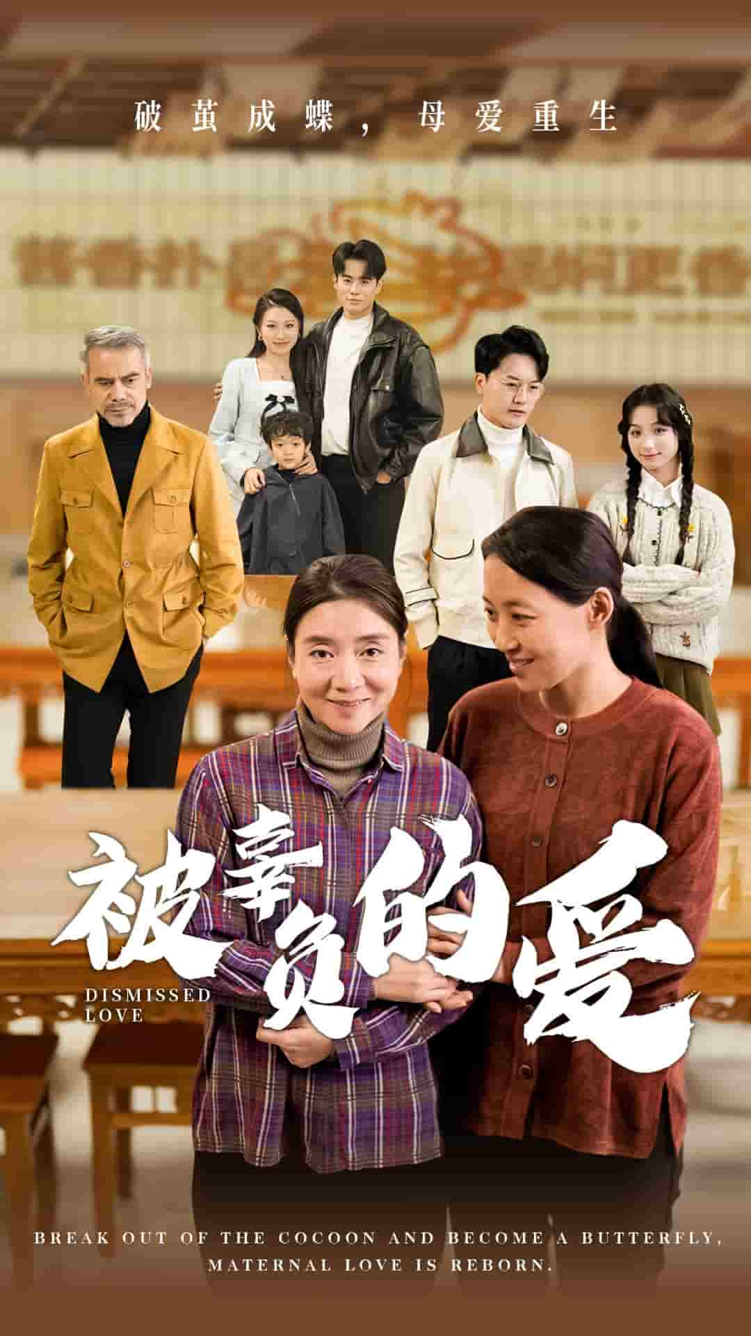 被辜负的爱海报