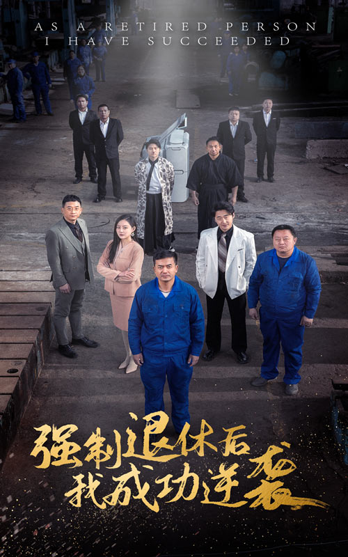 强制退休后,我成功逆袭海报