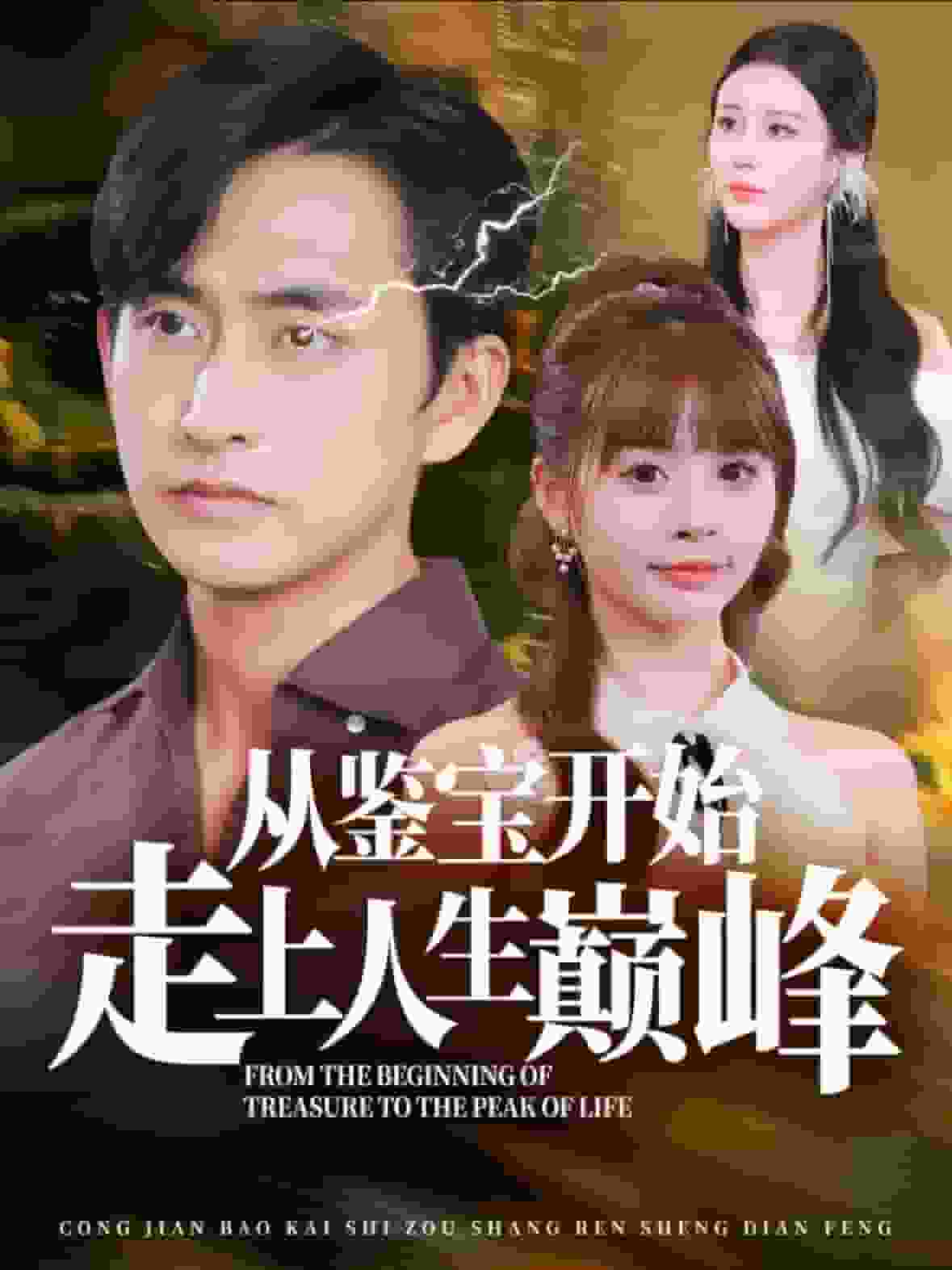 从鉴宝开始走上人生巅峰海报