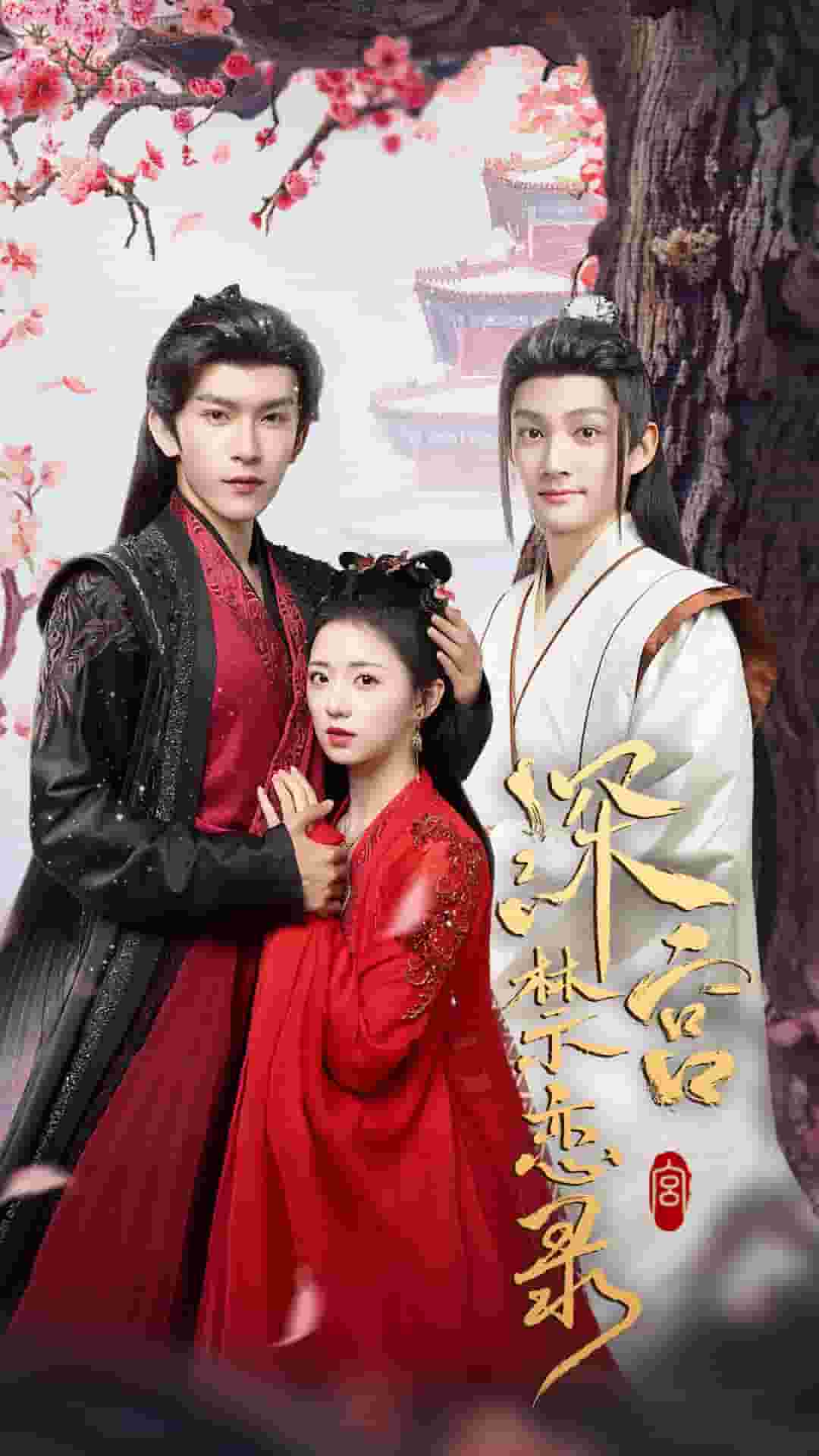 深宫禁恋录海报