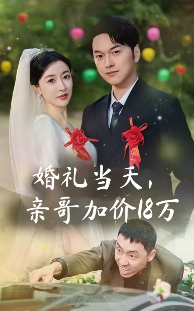 婚礼当天亲哥加价18万海报