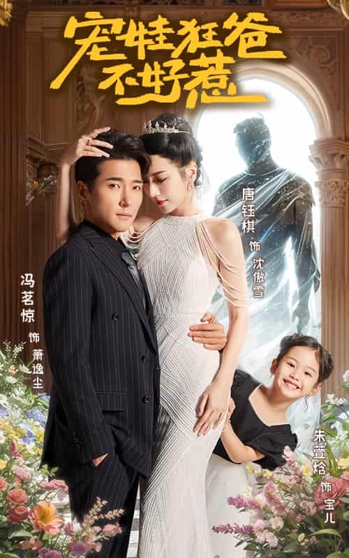 宠娃狂爸不好惹海报