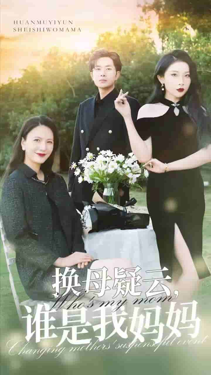 换母疑云,谁是我妈妈海报