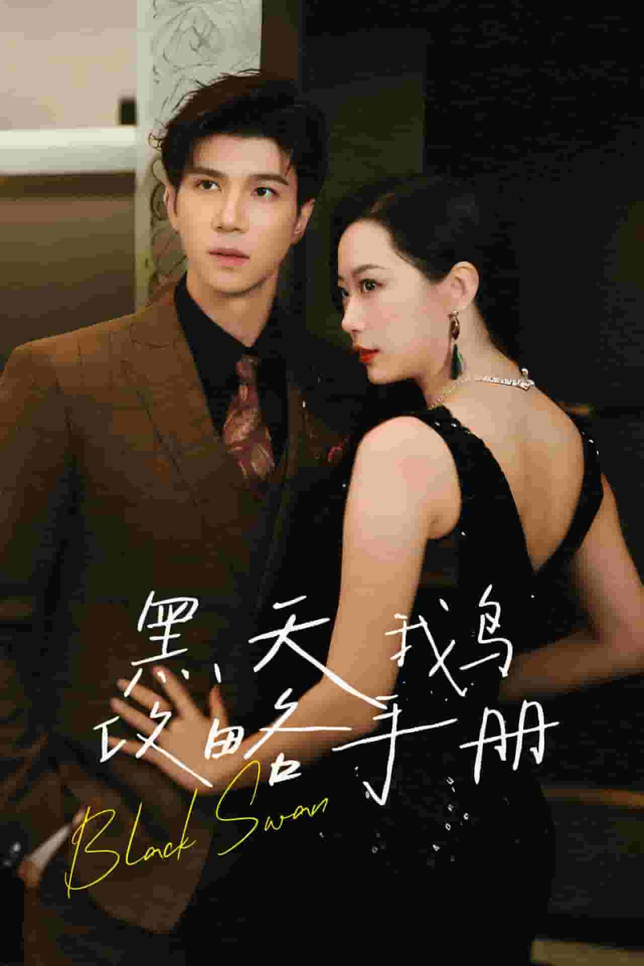 黑天鹅攻略手册海报