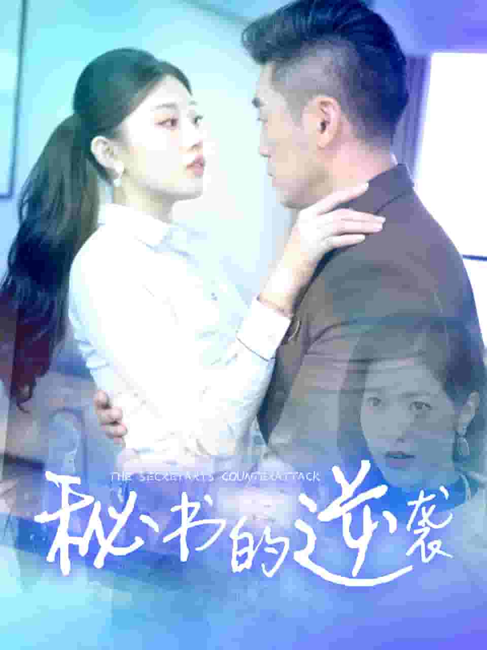 秘书的逆袭海报