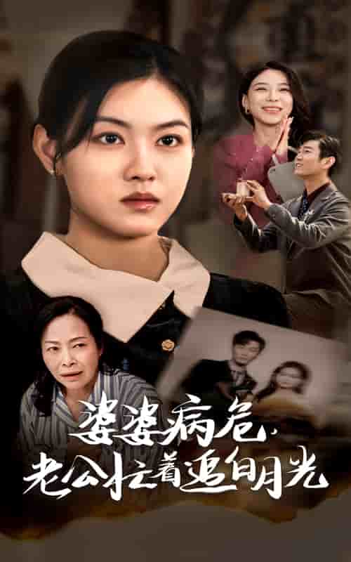 婆婆病危老公忙着追白月光海报