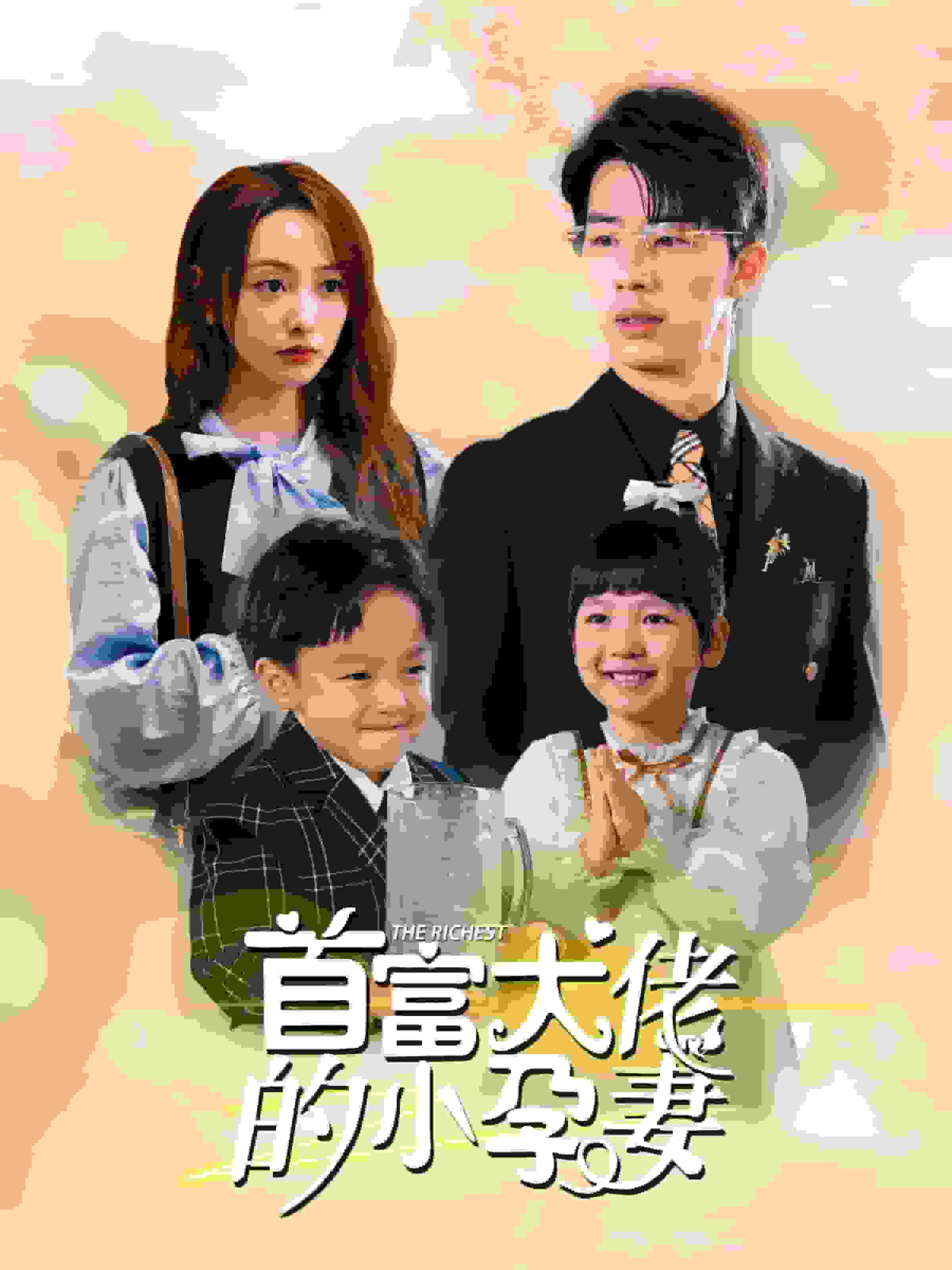 首富大佬的小孕妻海报